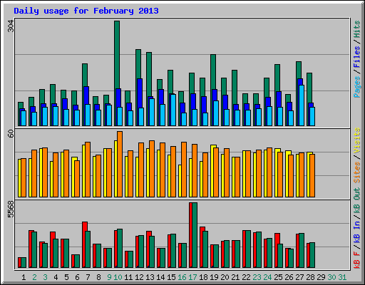 Daily usage for February 2013
