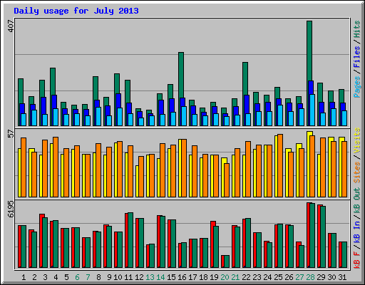 Daily usage for July 2013
