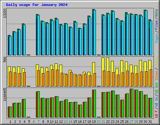 Daily usage for January 2024