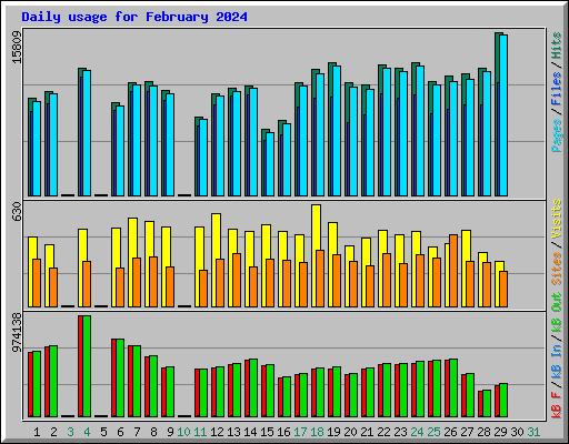 Daily usage for February 2024