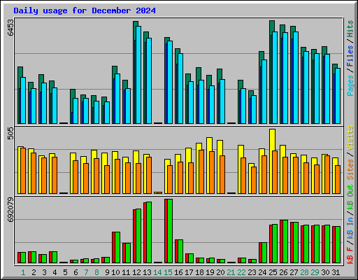 Daily usage for December 2024