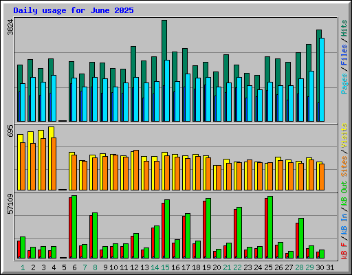 Daily usage for June 2025