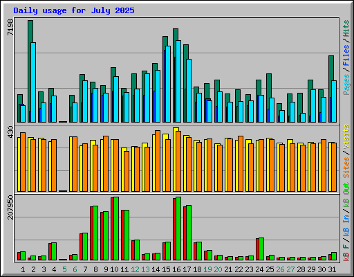 Daily usage for July 2025