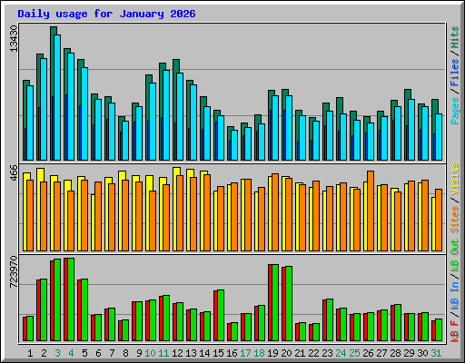 Daily usage for January 2026