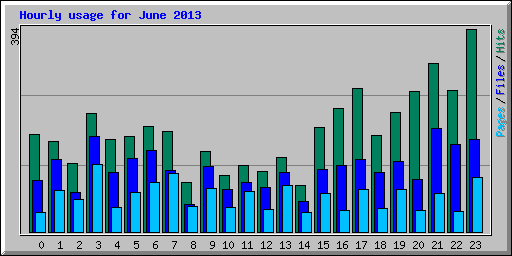 Hourly usage for June 2013