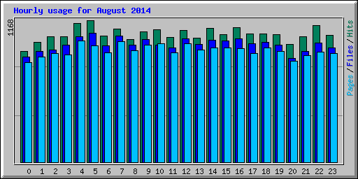 Hourly usage for August 2014