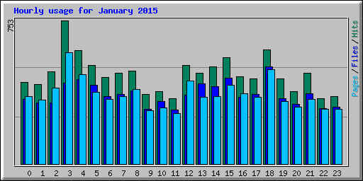 Hourly usage for January 2015