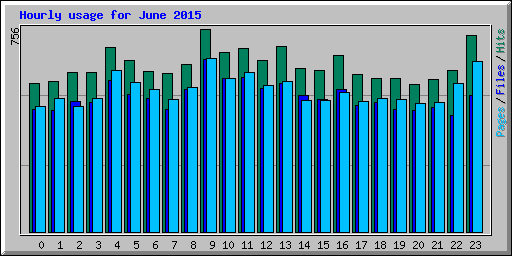 Hourly usage for June 2015