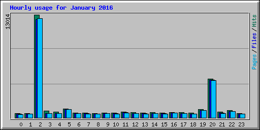 Hourly usage for January 2016