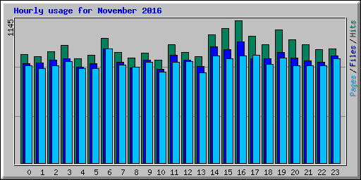 Hourly usage for November 2016