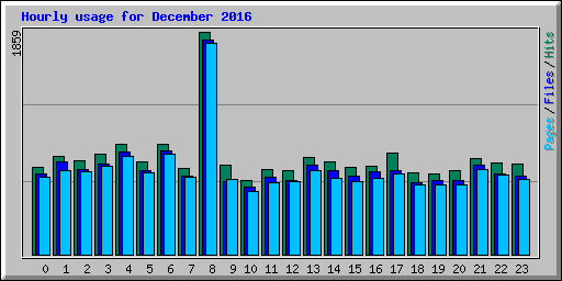 Hourly usage for December 2016