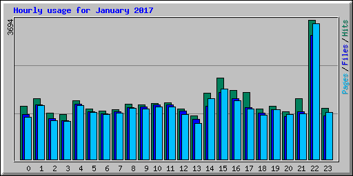 Hourly usage for January 2017