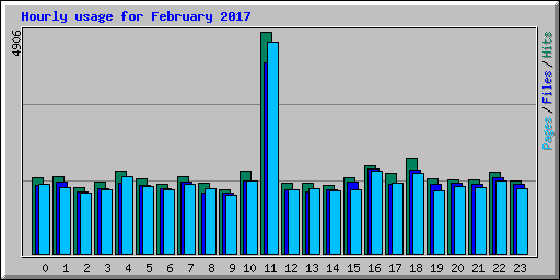 Hourly usage for February 2017