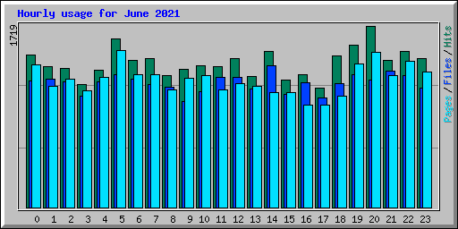 Hourly usage for June 2021