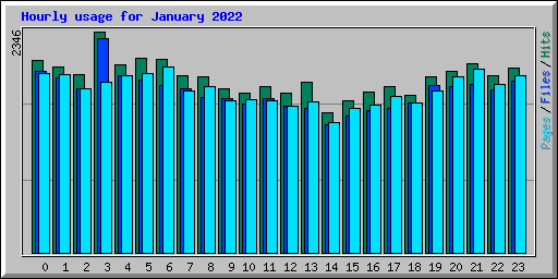 Hourly usage for January 2022