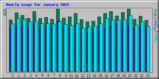 Hourly usage for January 2023