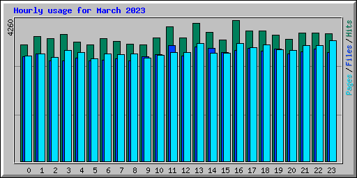 Hourly usage for March 2023