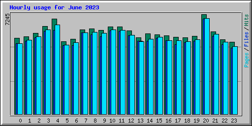 Hourly usage for June 2023
