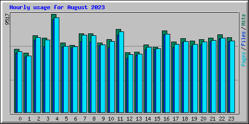Hourly usage for August 2023