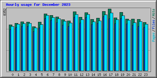 Hourly usage for December 2023