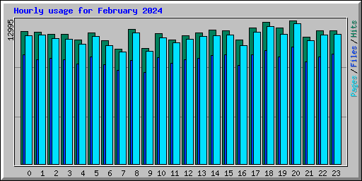 Hourly usage for February 2024