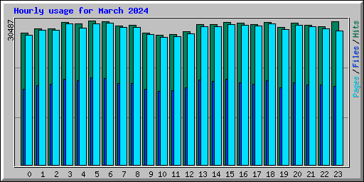 Hourly usage for March 2024