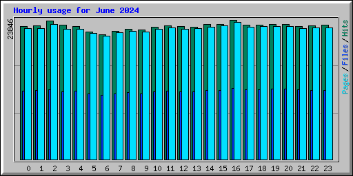 Hourly usage for June 2024
