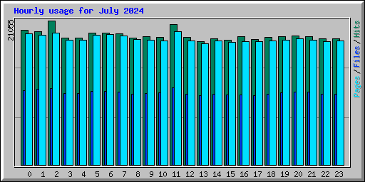 Hourly usage for July 2024