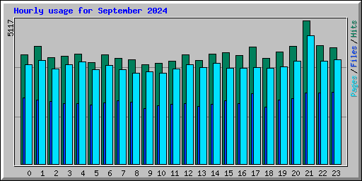 Hourly usage for September 2024