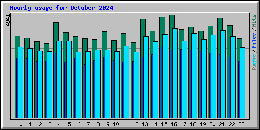 Hourly usage for October 2024