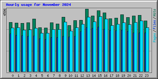 Hourly usage for November 2024