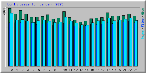 Hourly usage for January 2025