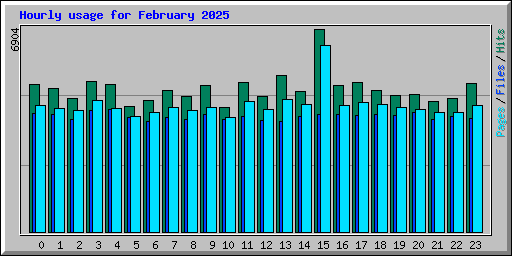 Hourly usage for February 2025