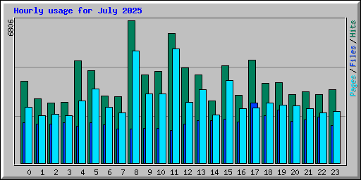 Hourly usage for July 2025