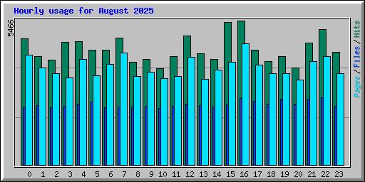 Hourly usage for August 2025