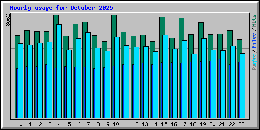 Hourly usage for October 2025