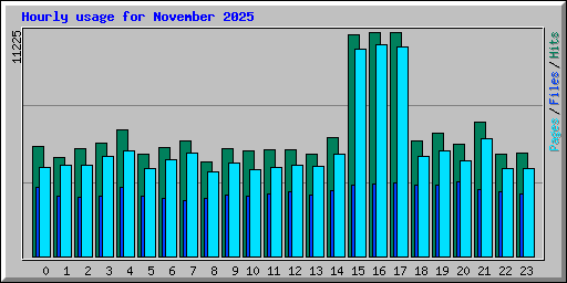 Hourly usage for November 2025