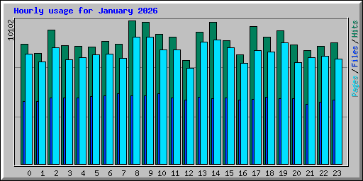 Hourly usage for January 2026